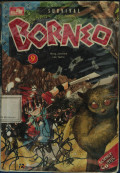 Survival: Borneo 9